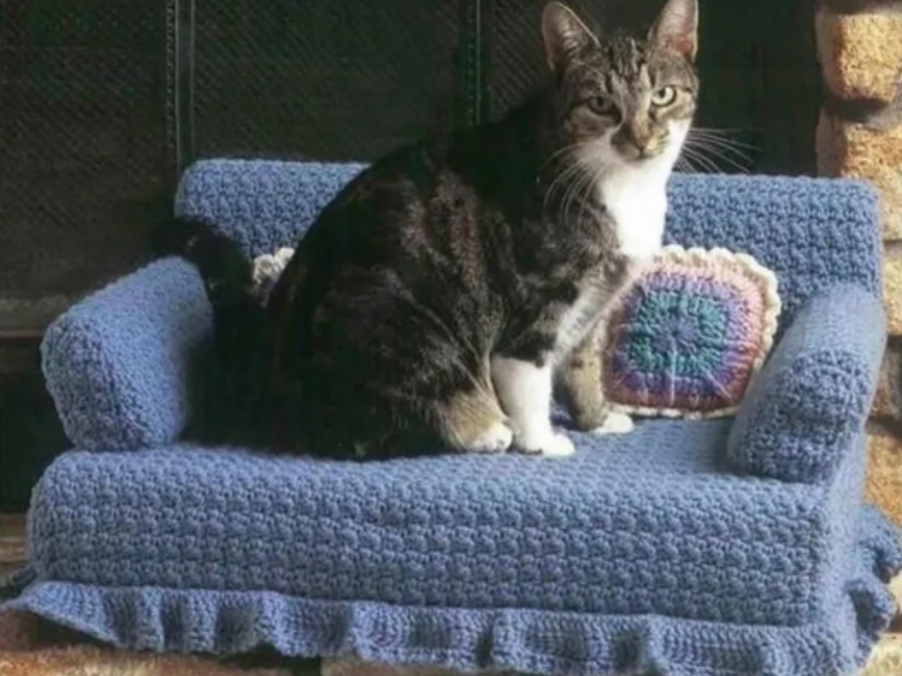 Crochet PATTERNS 3 Cat Little Dog Sofa Beds, Instructions for Making 3 DIY Luxury Cat Couches, Instant Digital Download