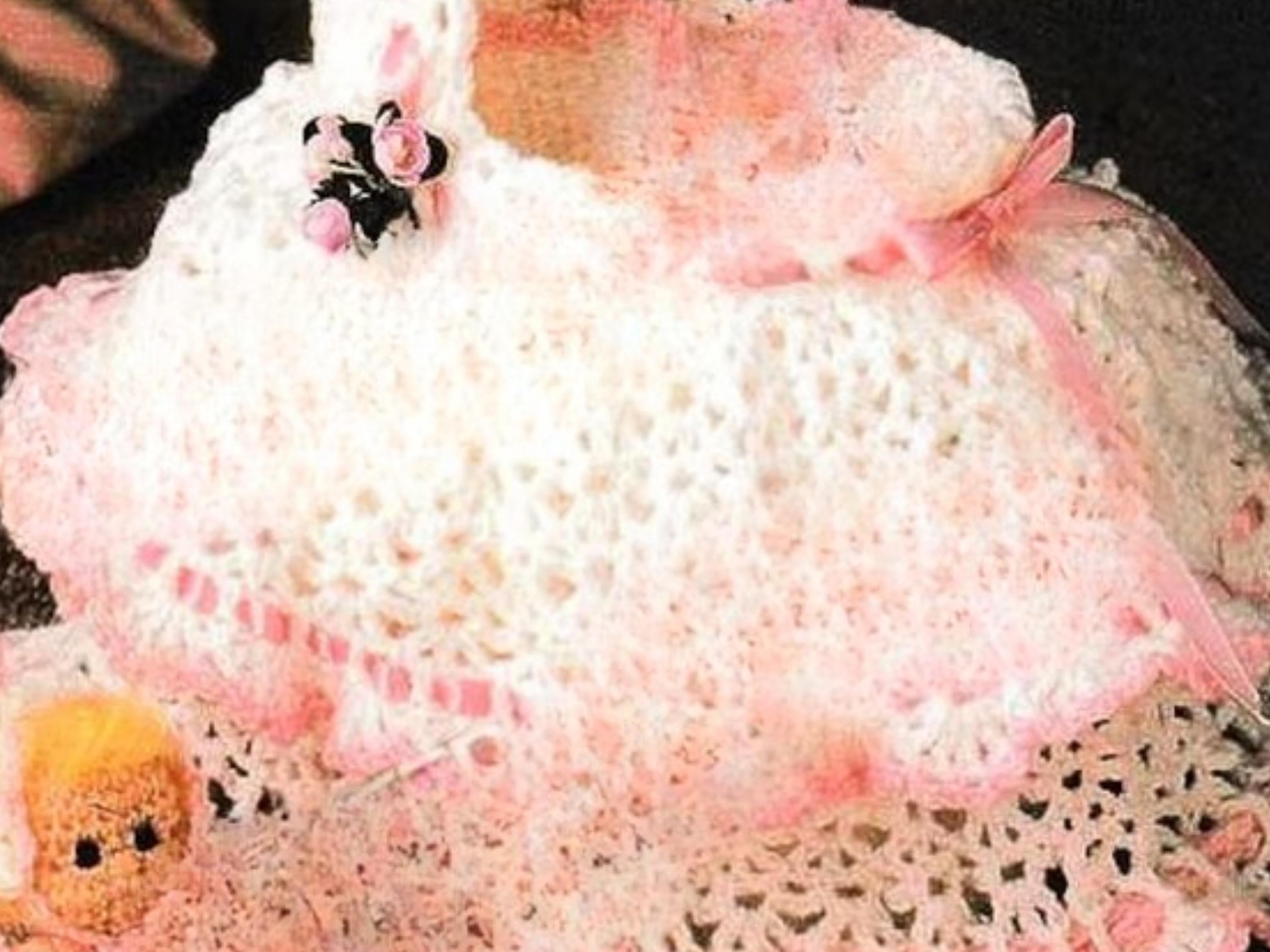 Beginner Crochet Doll Bassinet and Clothes Pattern (PDF Download)