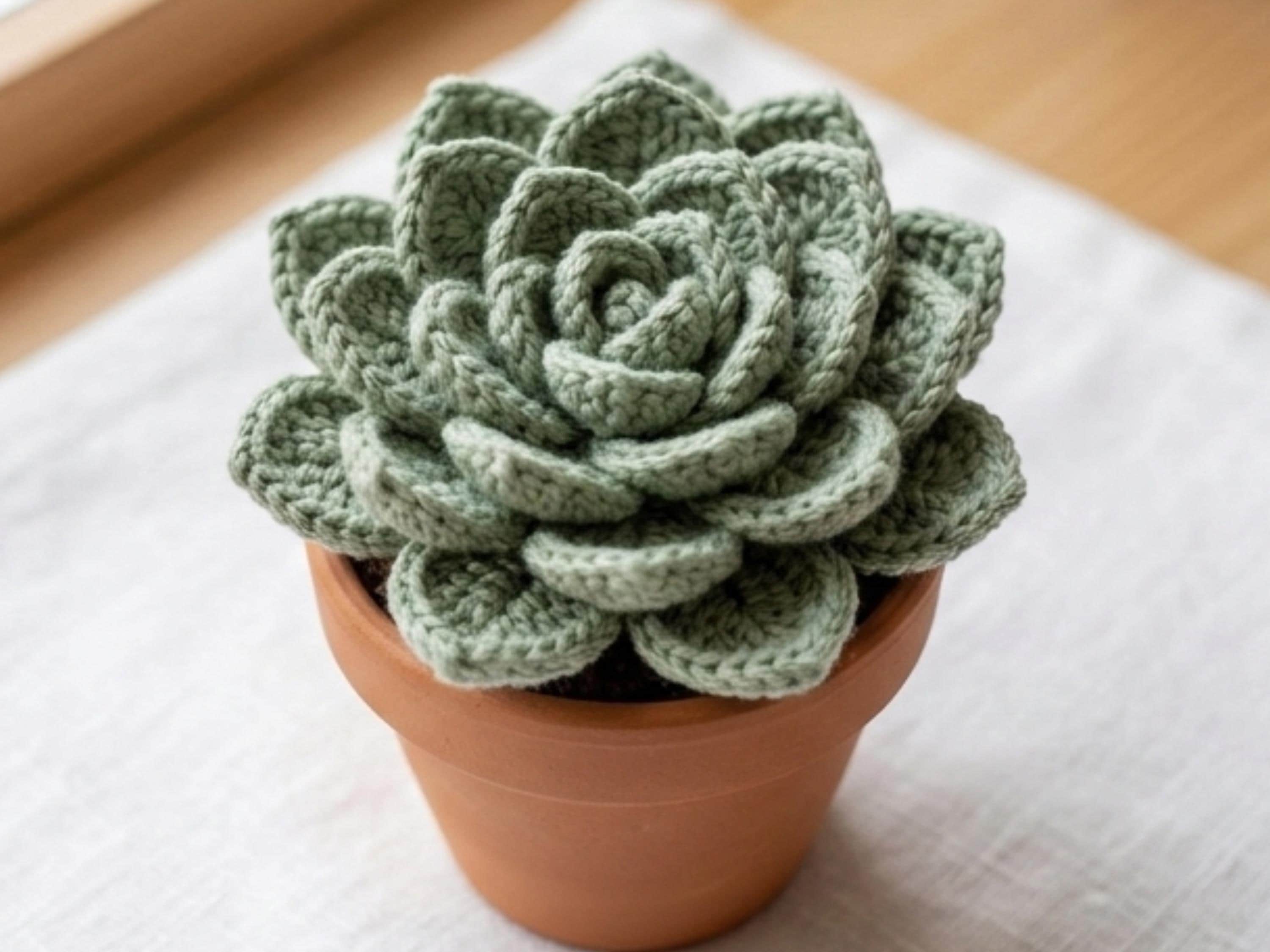 Crochet Succulent Pot Pattern | Beginner Amigurumi Tutorial (Digital Download)